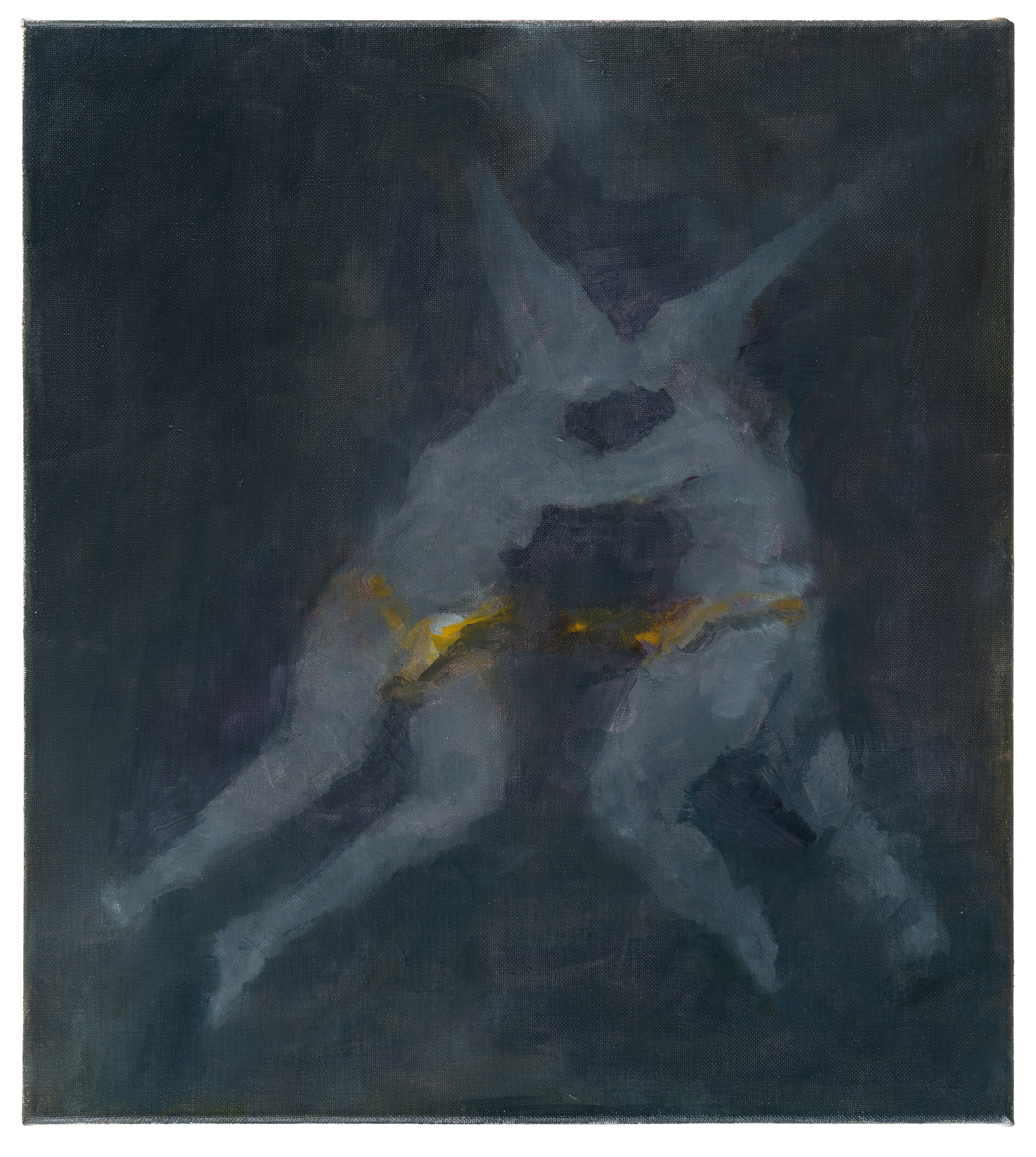 Galerie Barbara Thumm \ Valérie Favre: Ghost (nach Goyas Hexenflug) (VFa-15-014) \ Ghost (nach Goyas Hexenflug) (2015)