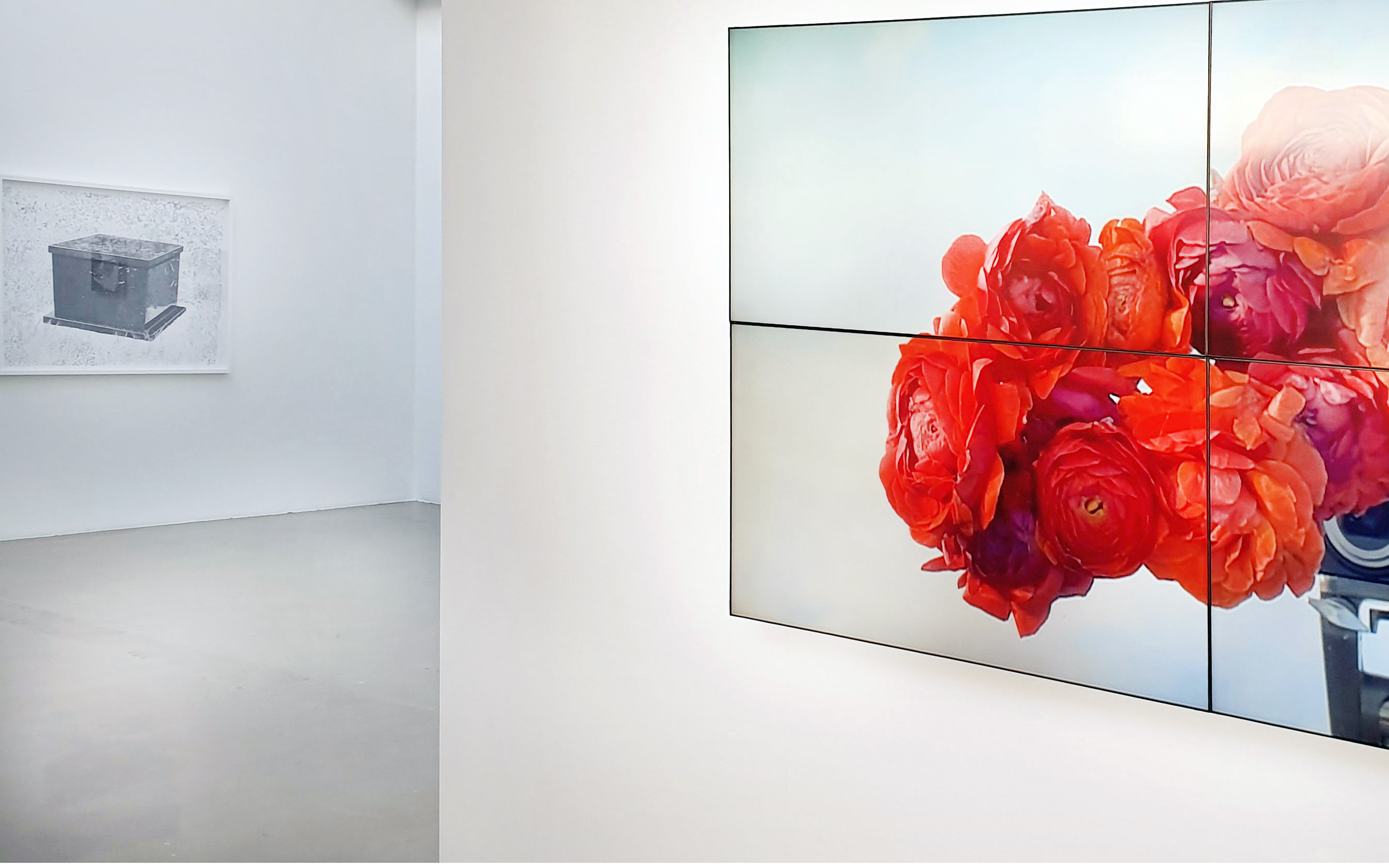 Galerie Barbara Thumm \ Fiona Banner aka The Vanity Press