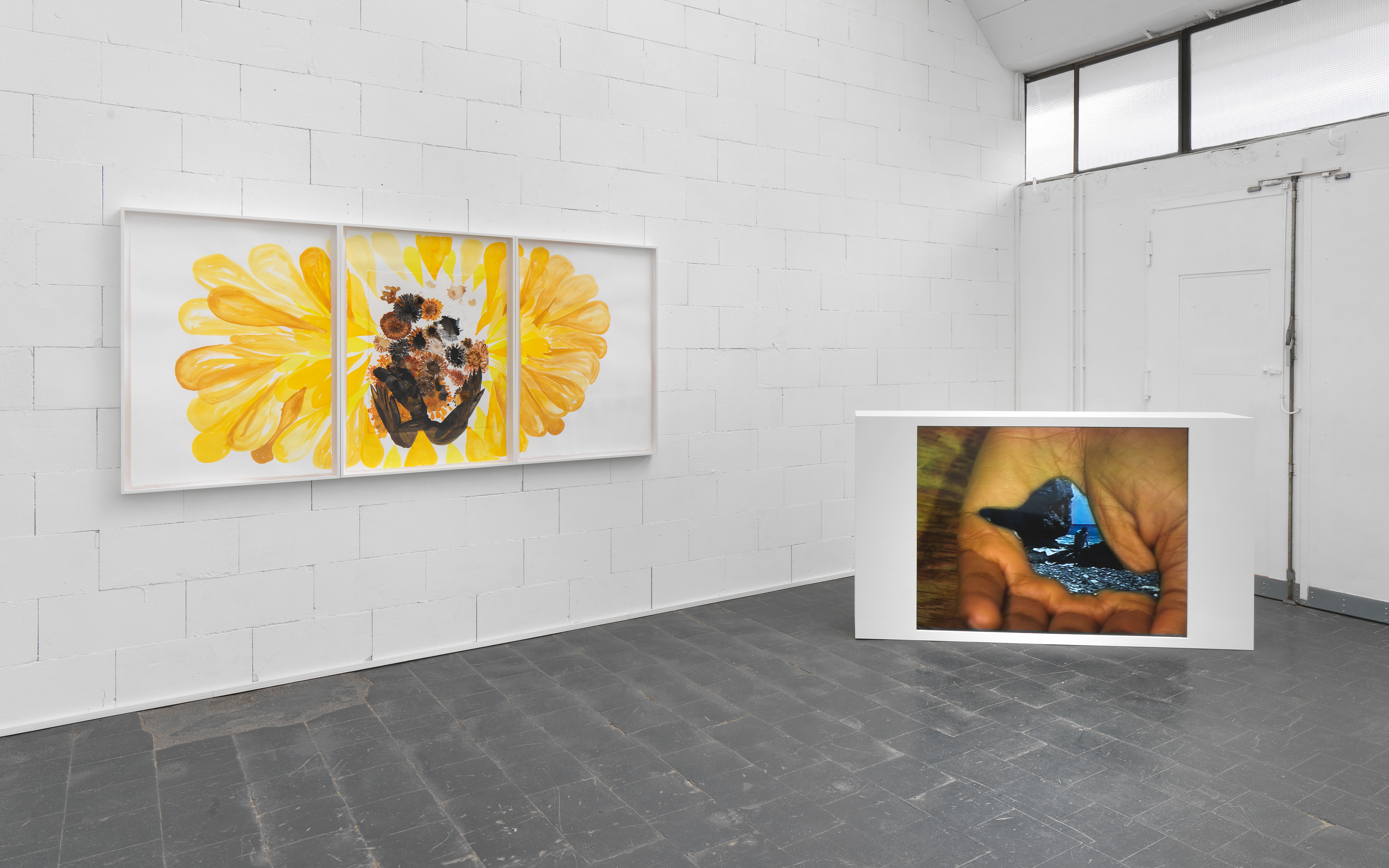 Galerie Barbara Thumm \ María Magdalena Campos-Pons