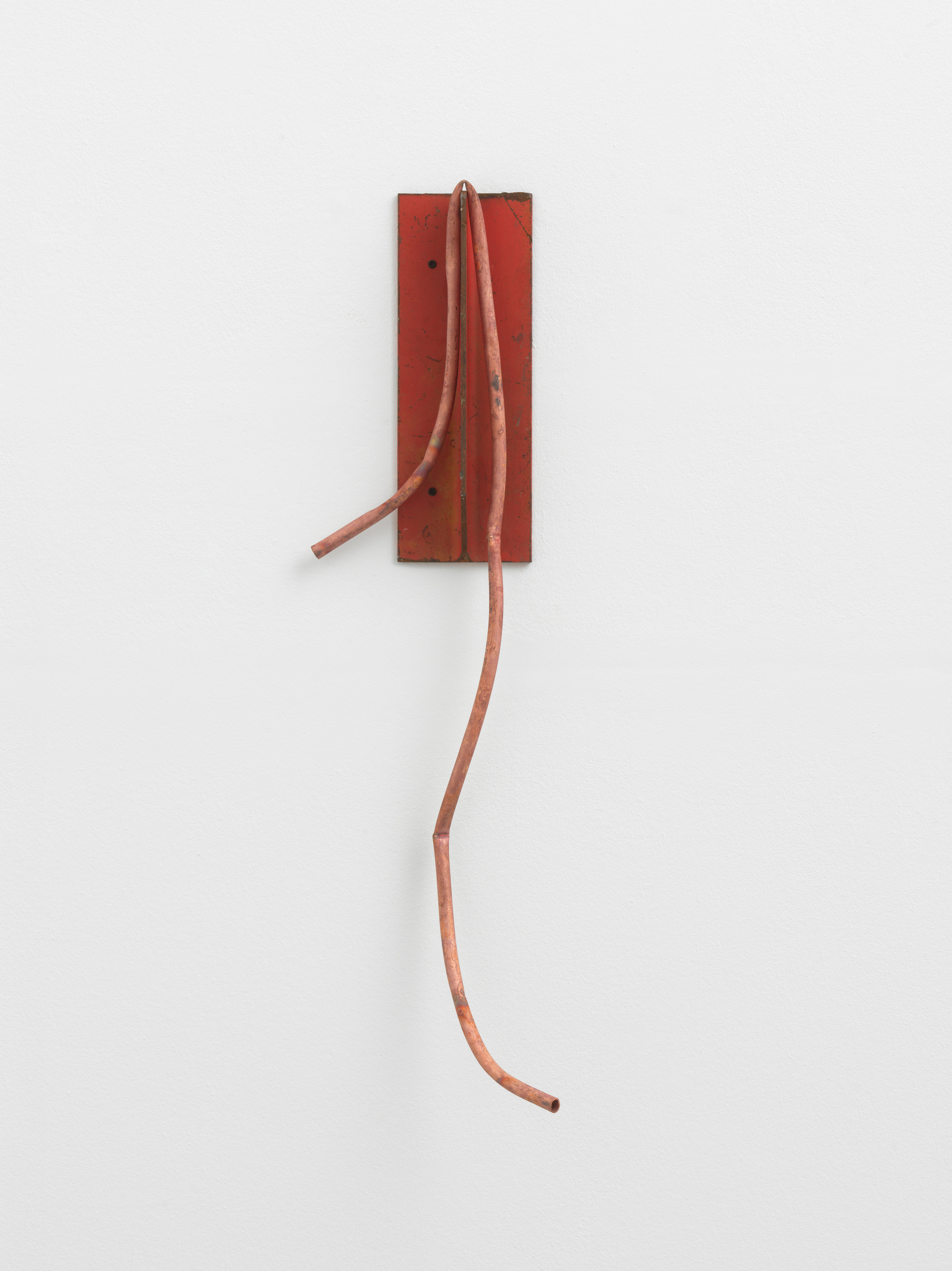Galerie Barbara Thumm \ Sarah Entwistle: In all my life I have never been in such a need of a “blood-transfusion“ (SEn/S 57) \ In all my life I have never been in such a need of a “blood-transfusion” (2023)