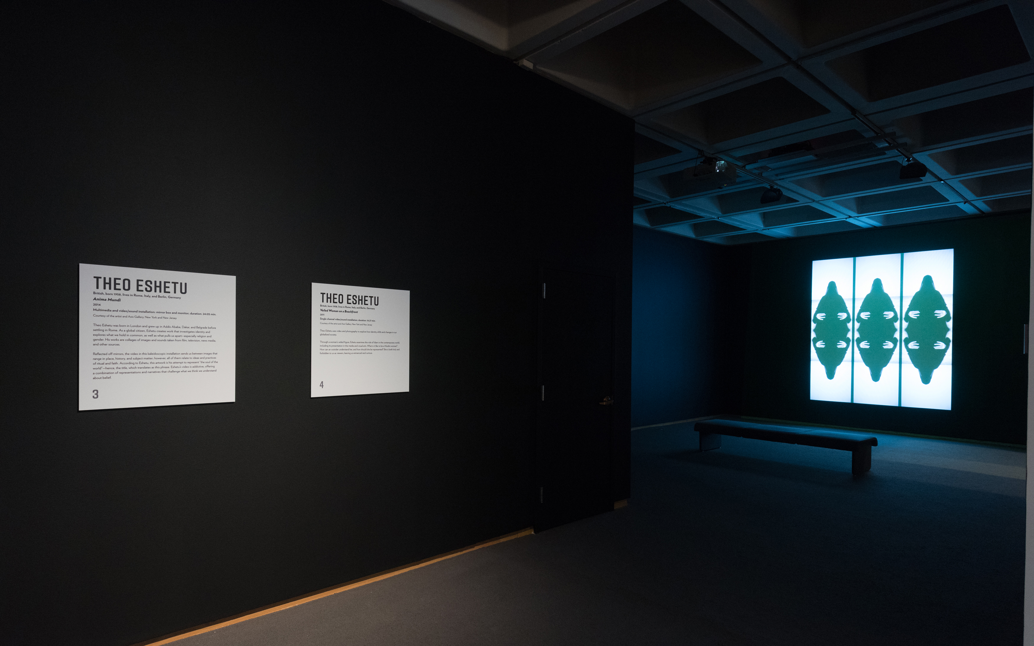 Galerie Barbara Thumm \ Theo Eshetu