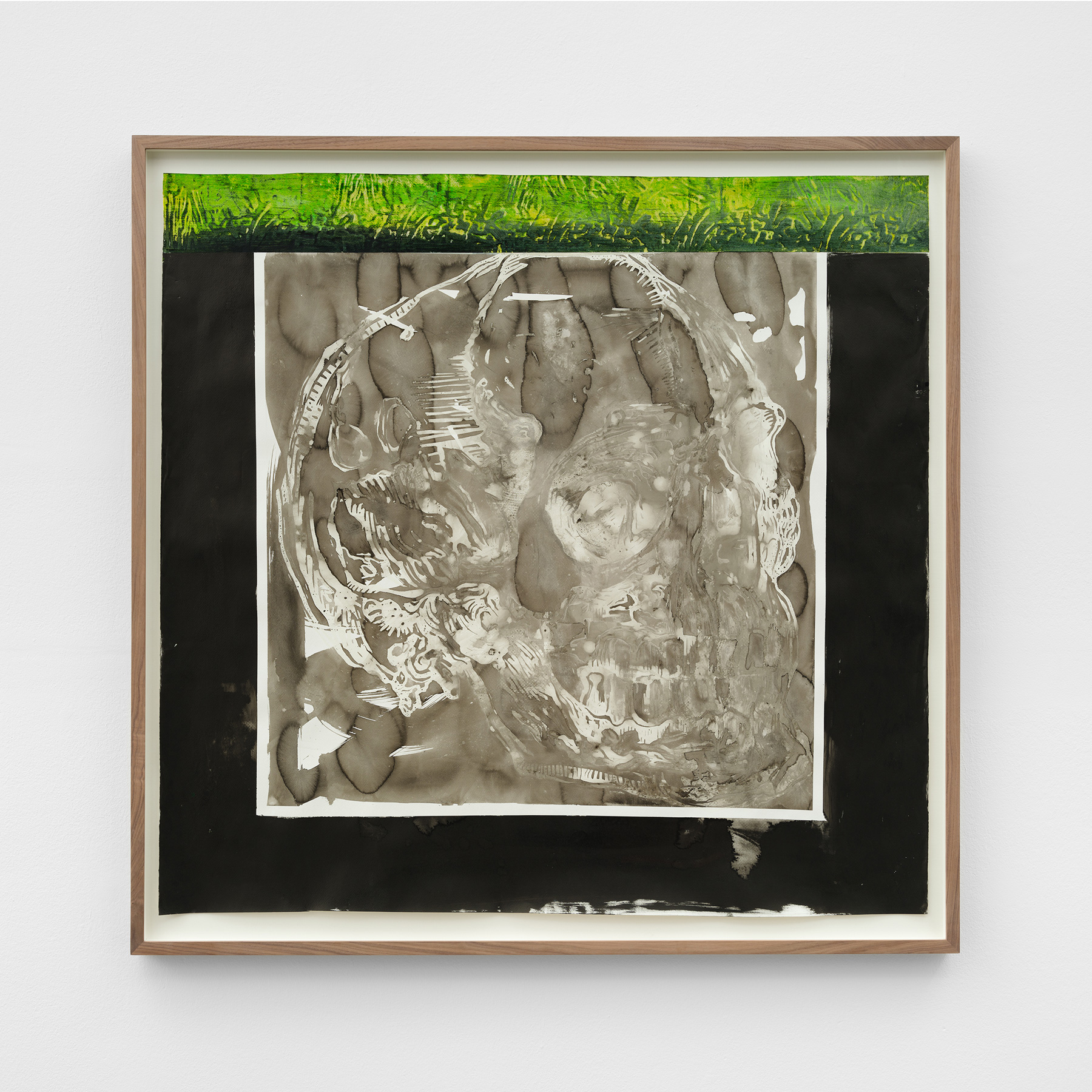 Galerie Barbara Thumm \ Johnny Miller – The Nature of Nature \ Skull #3 (2023)