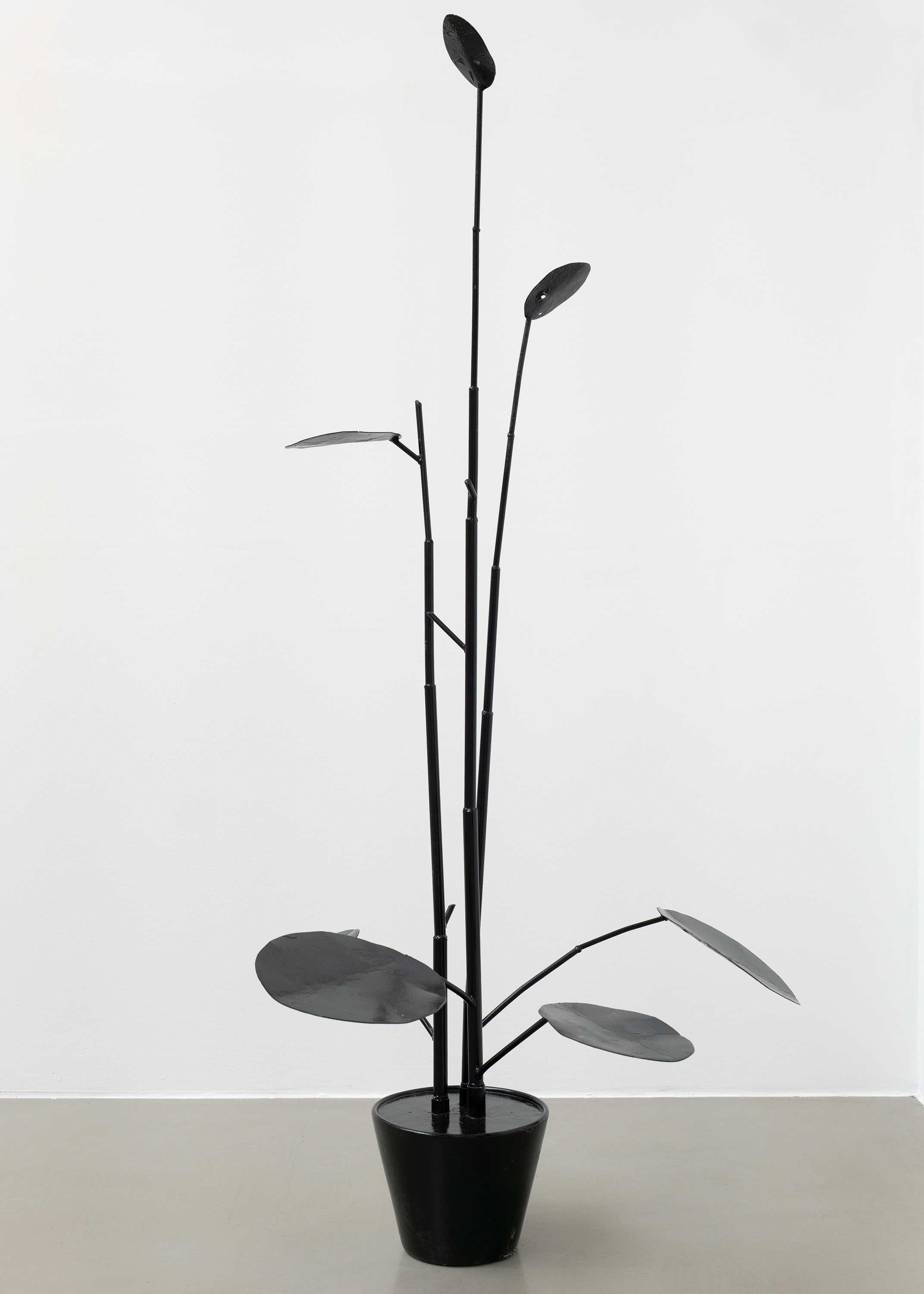 Galerie Barbara Thumm \ Thomas Zipp \ WT &#8211; Plant (2025)