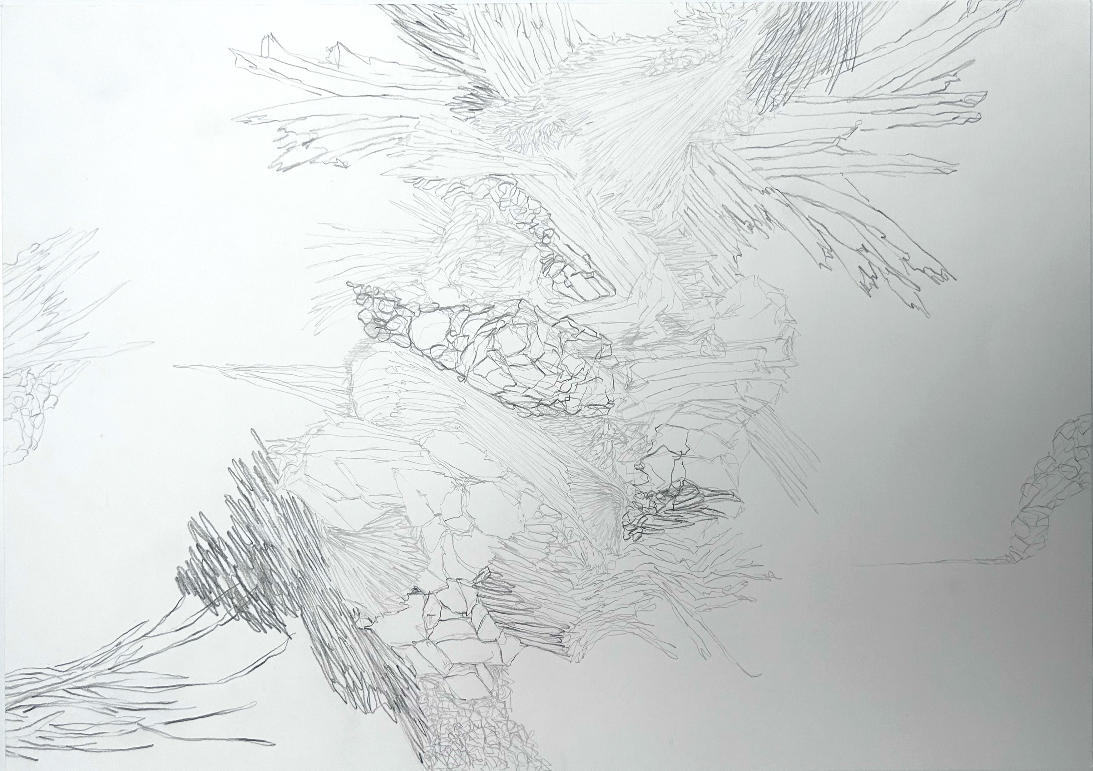 Galerie Barbara Thumm \ María José Arjona – SEDIMENTS: Sono-Choreo-Geo-Graphic Attunements \ Untitled (2025)