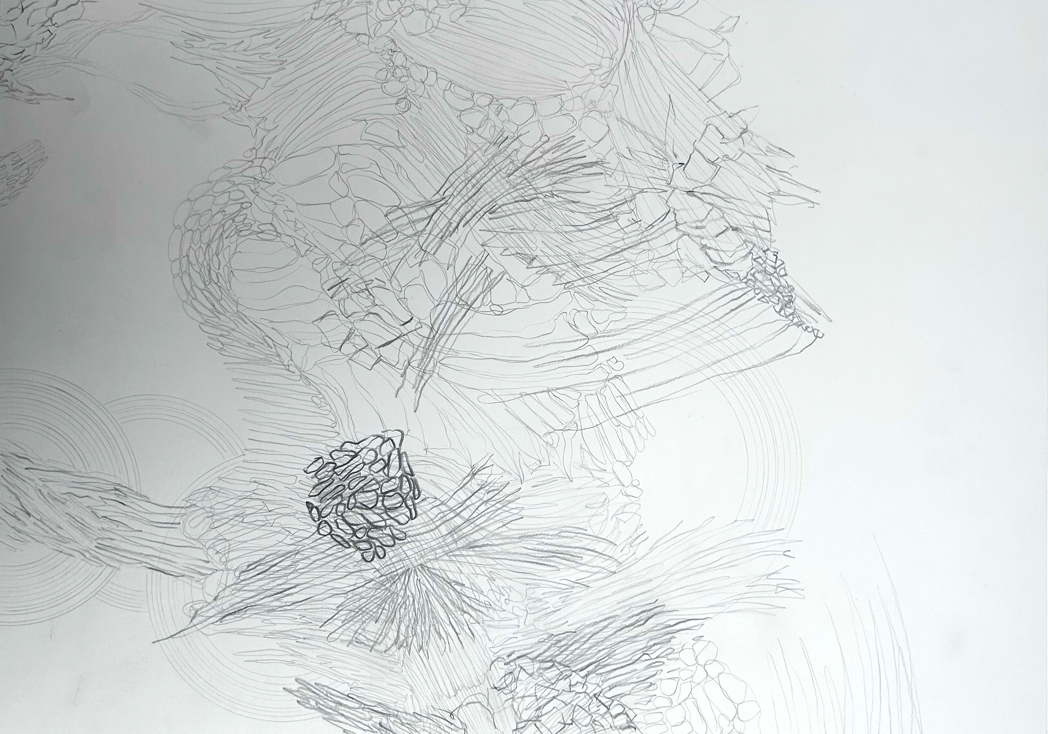 Galerie Barbara Thumm \ María José Arjona – SEDIMENTS: Sono-Choreo-Geo-Graphic Attunements \ Untitled (2025)