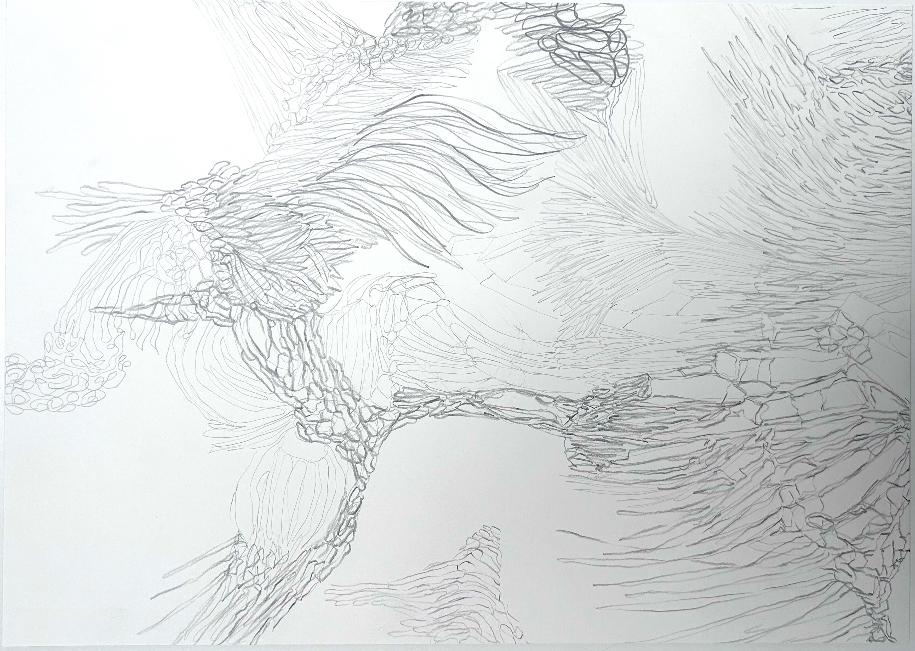 Galerie Barbara Thumm \ María José Arjona – SEDIMENTS: Sono-Choreo-Geo-Graphic Attunements \ Untitled (2025)