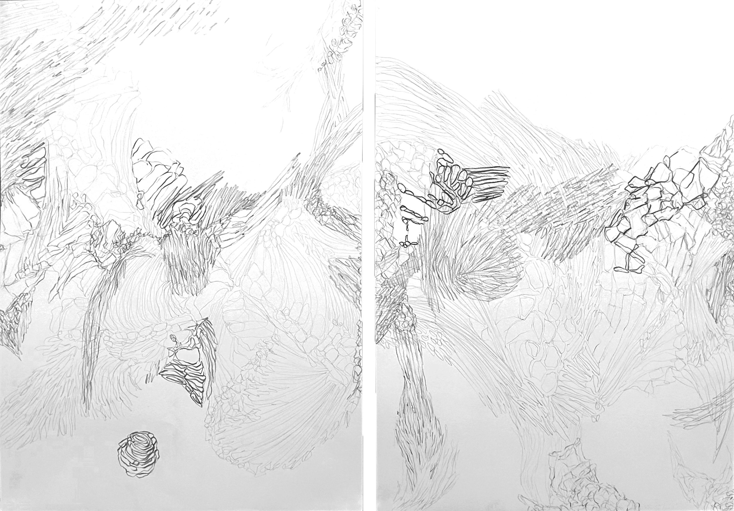 Galerie Barbara Thumm \ María José Arjona – SEDIMENTS: Sono-Choreo-Geo-Graphic Attunements \ Untitled, (2025)