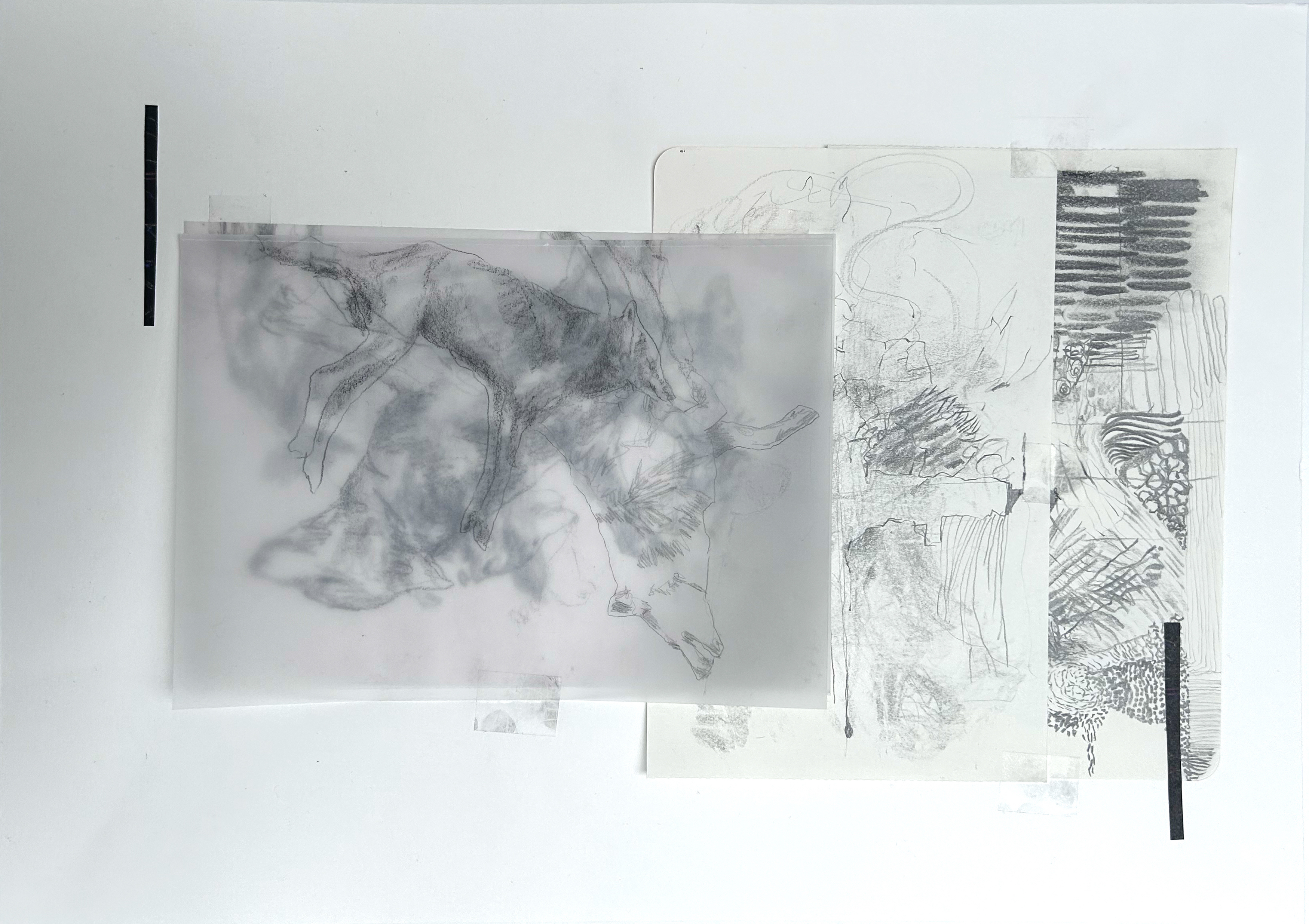 Galerie Barbara Thumm \ María José Arjona – SEDIMENTS: Sono-Choreo-Geo-Graphic Attunements \ Untitled (2025)