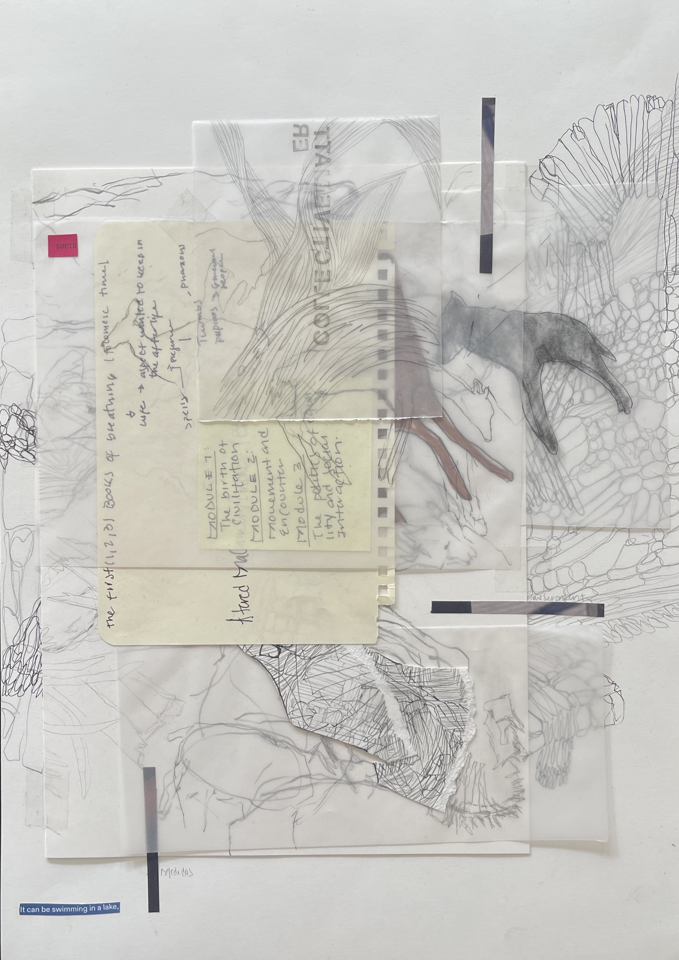 Galerie Barbara Thumm \ María José Arjona – SEDIMENTS: Sono-Choreo-Geo-Graphic Attunements \ Untitled (2025)