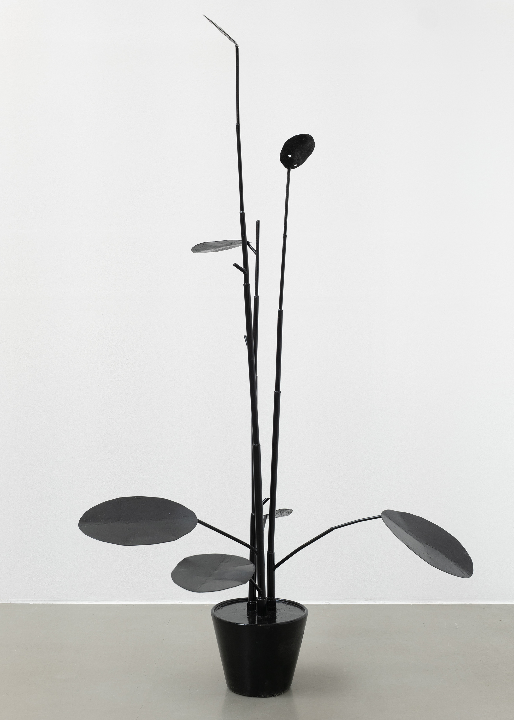 Galerie Barbara Thumm \ Thomas Zipp – Profondeville \ Shock Black Elevator Pitch (2025)