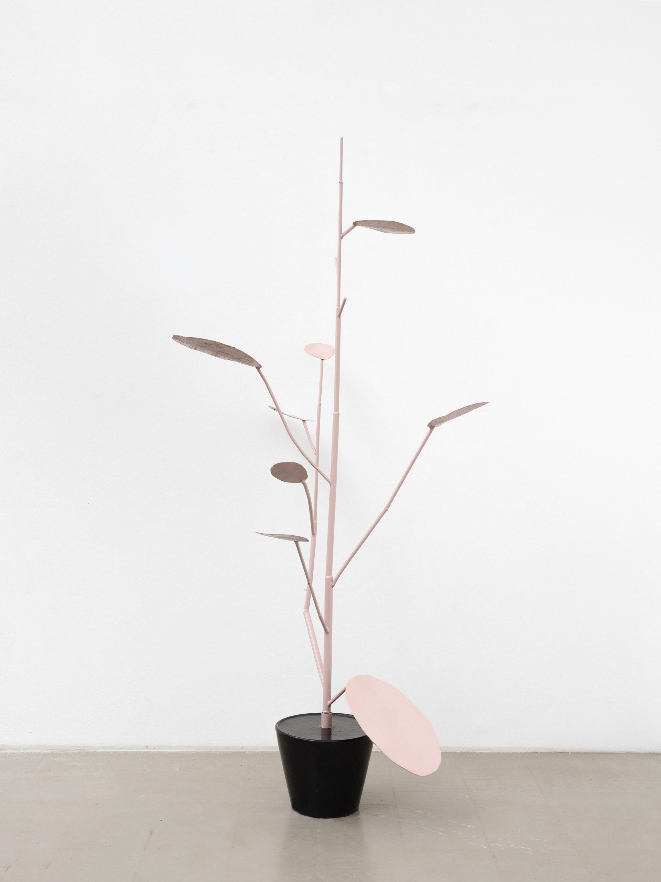 Galerie Barbara Thumm \ Thomas Zipp – Profondeville \ Brain Elevator Pitch (2025)