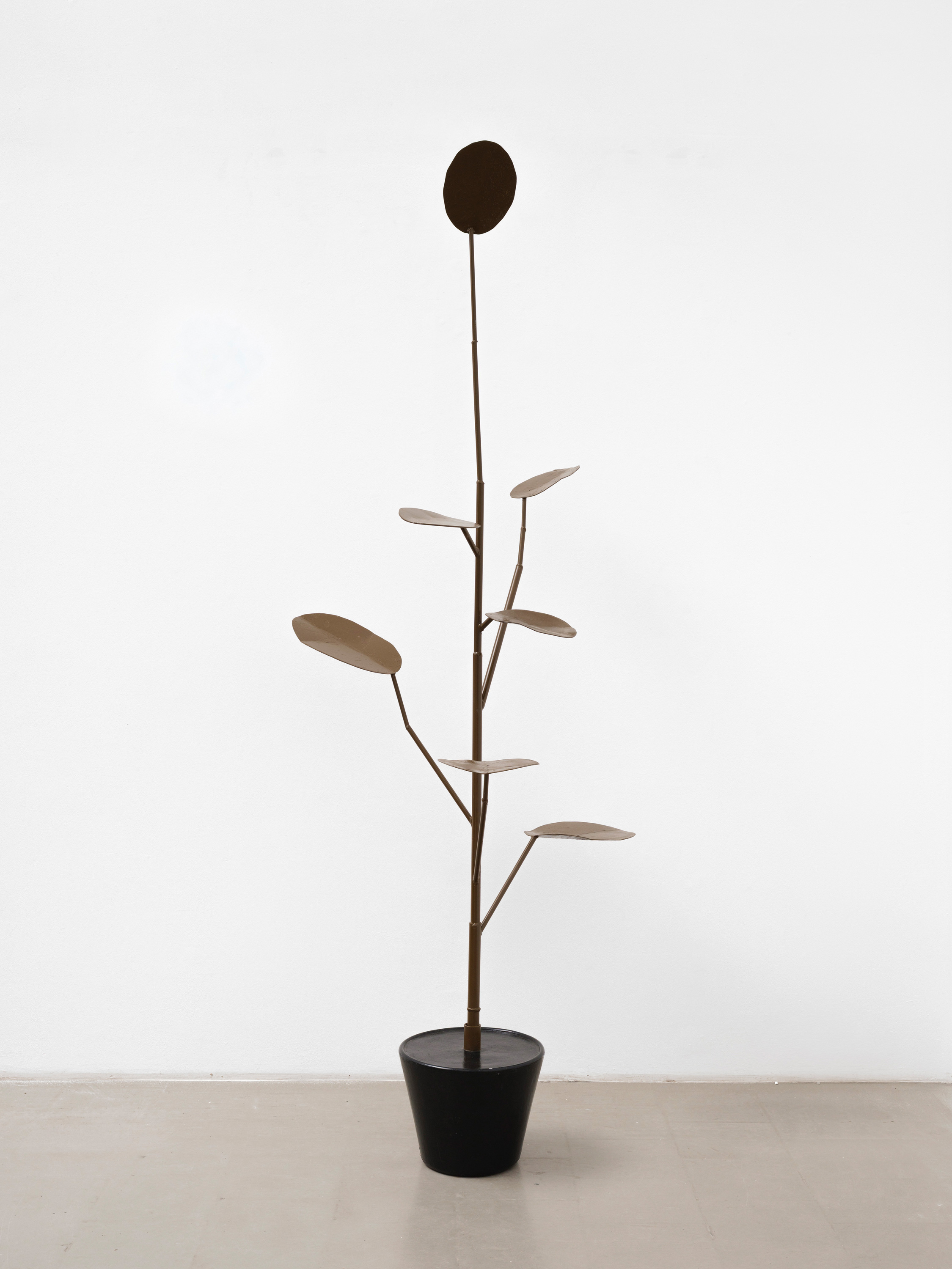 Galerie Barbara Thumm \ Thomas Zipp – Profondeville \ Mushroom Elevator Pitch (2025)