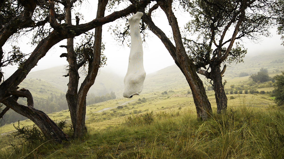 Galerie Barbara Thumm \ Antoni Paucar &#8211; Artes Mundi