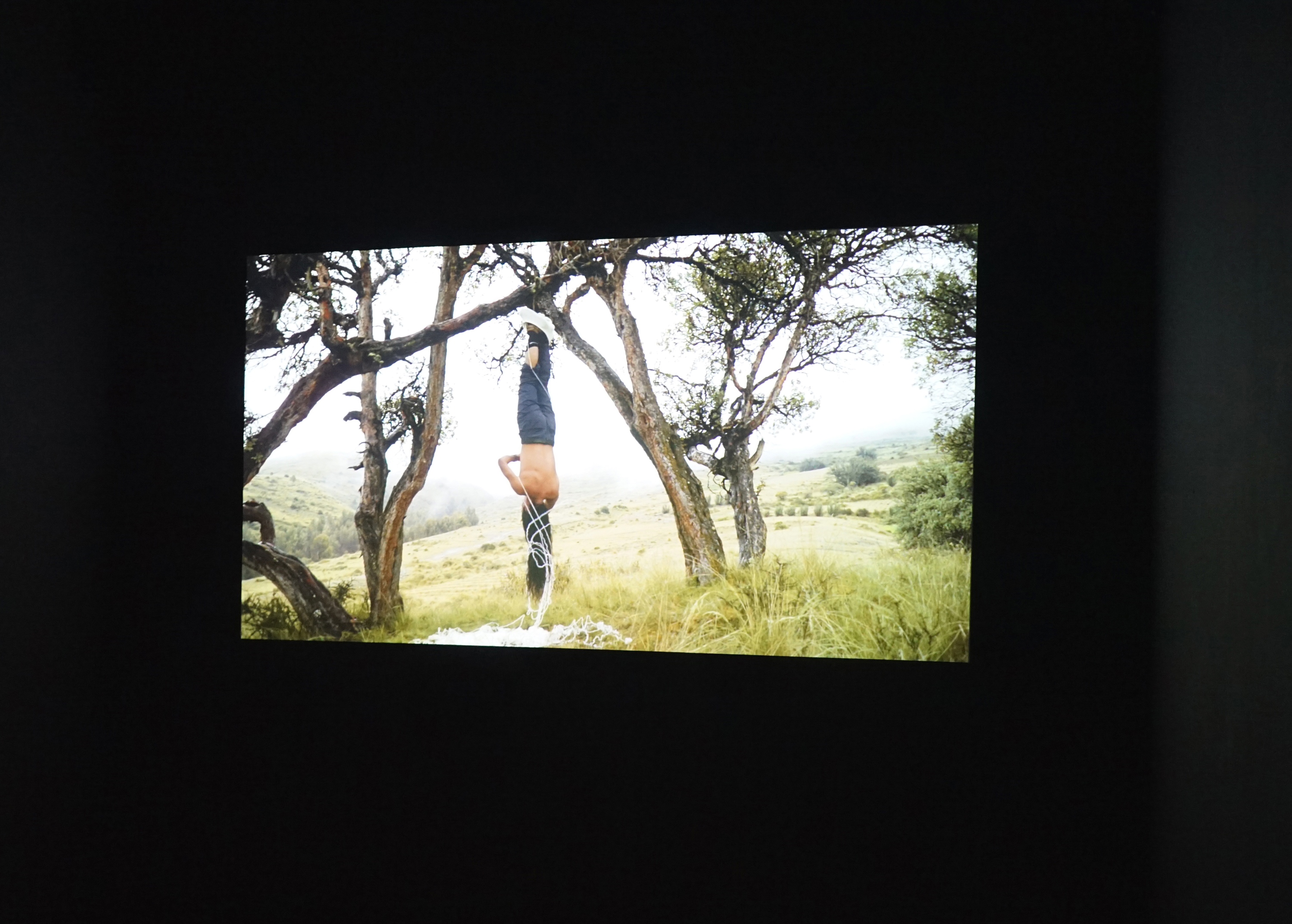 Galerie Barbara Thumm \ Antonio Paucar &#8211; artes mundi 11